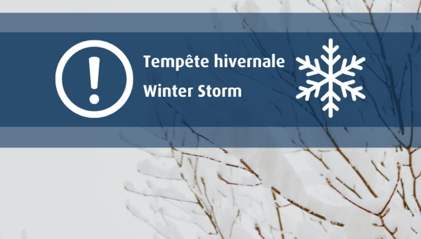 Image of tree branches with ice with a sign indicating Winter Storm