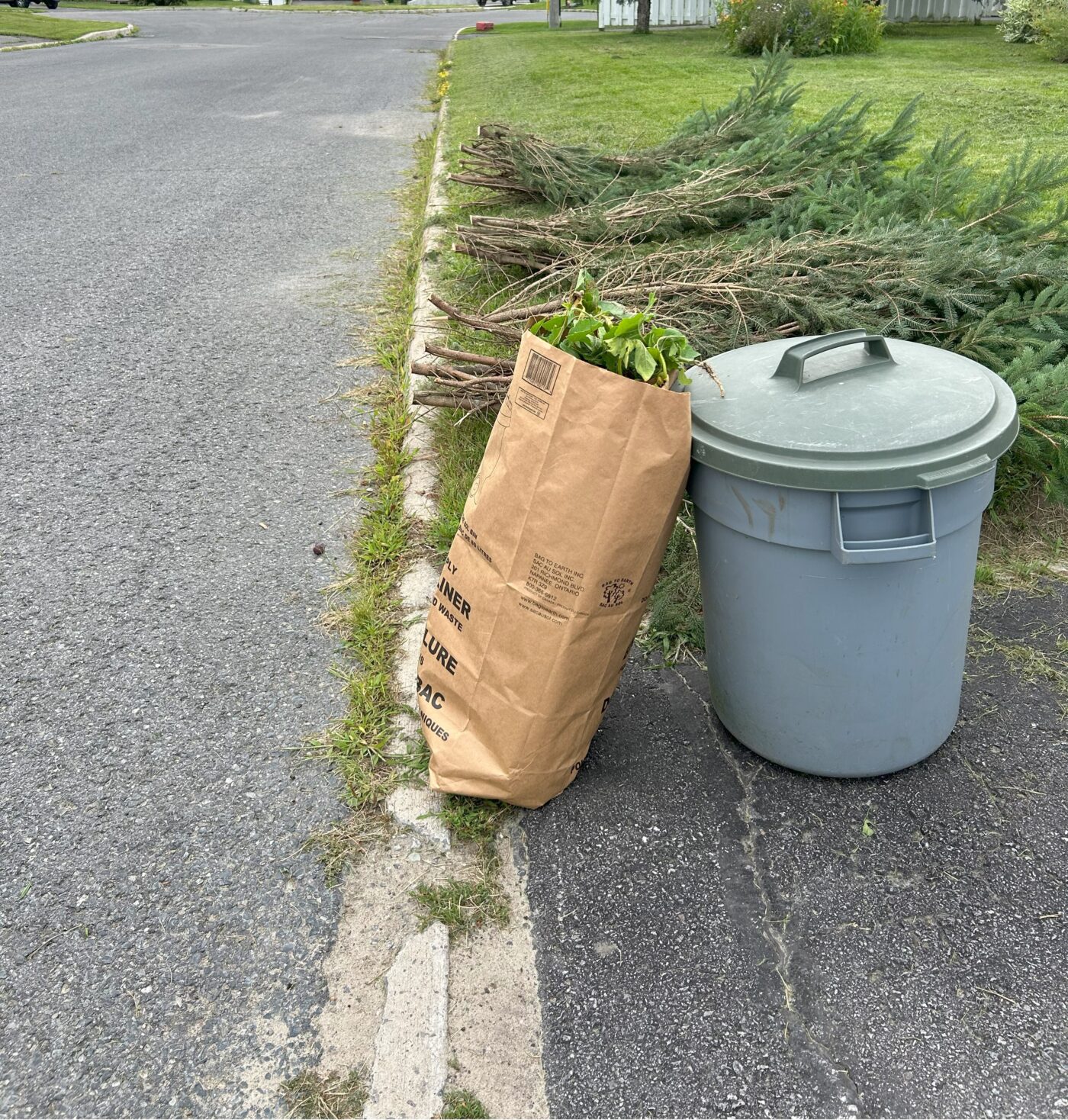 A large paper bag filled with garden waste and a trash bin siting on the curb alongside trimmed tree branches, ready for collection.