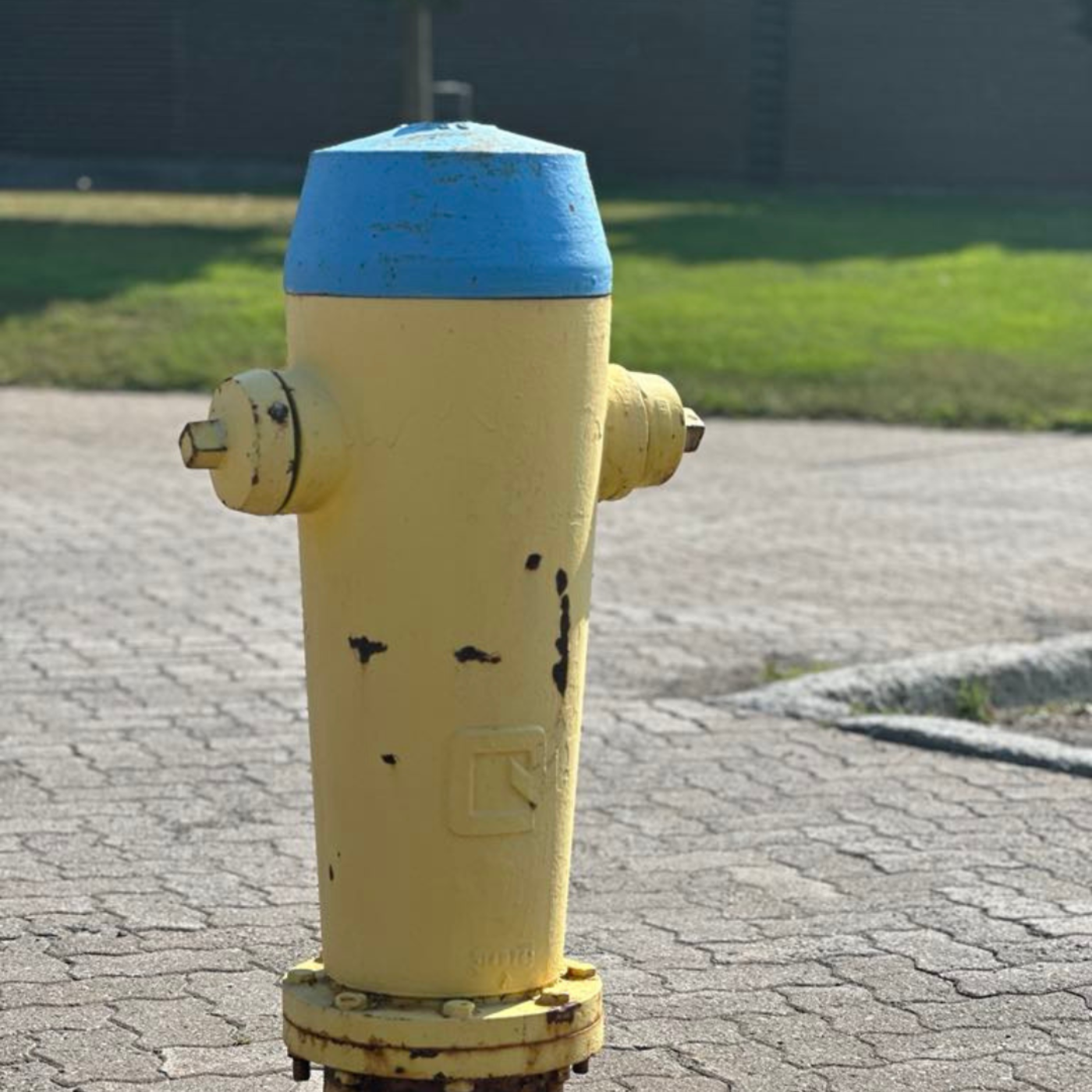 Generic image of a fire hydrant